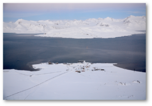 ny ålesund